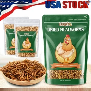 100% Natural Non GMO Dried Mealworms High Protein Food for Bird Chicken Duck - Picture 1 of 11