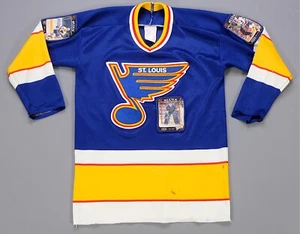 Rare VTG CCM St. Louis Blues Customized Jersey 90s Brett Hull Shanahan Youth L - Picture 1 of 12