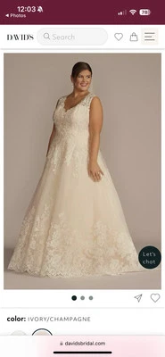 Vestido de novia David's talla 18 festoneado encaje y tul ESTILO # WG3850 Foto 1 de 4