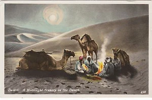 EGIPTO FOGATA Y CAMELLOS A LA LUZ DE LA LUNA DEL DESIERTO POSTAL - Imagen 1 de 2