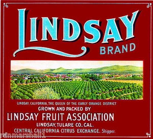 Lindsay Tulare County Orange Zitrus Obstkiste Box Etikett Vintage Kunstdruck - Bild 1 von 1