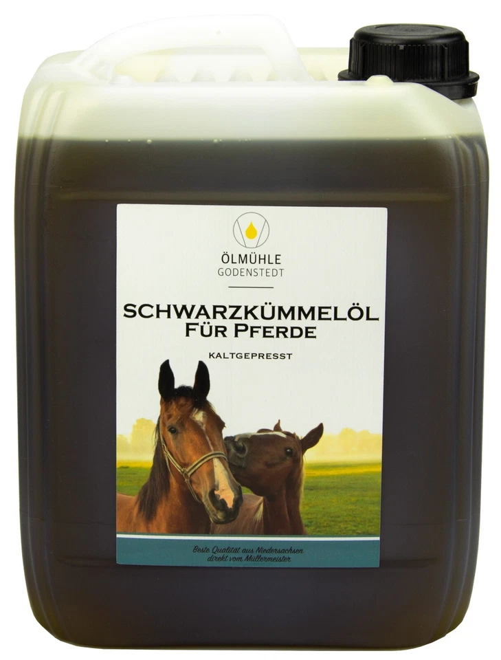 Schwarzkümmelöl für Pferde 5 Liter Kanister | direkt aus der Ölmühle Godenstedt - Bild 1 von 4
