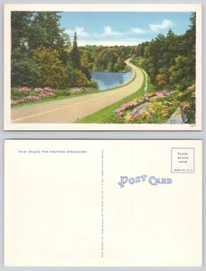 Postcard Newcomerstown Ohio 1939 Road Past Lake  N-1 - Picture 1 of 1