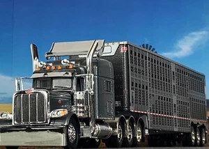 1/64 DCP PETERBILT 389 TRI AXLE W/ 70" MID ROOF & WILSON TRI AXLE CATTLE TRL - Picture 1 of 8