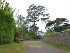 Photo 12X8 Lodes Lane Kingston St Mary An Old Stone Wall And A Specimen Tr C2018