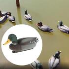 Floating Duck Decoy, Lifelike Simulation Hunting Duck for Garden and