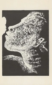 Postcard Stanley Lewis "Moment of Becoming" 1962 MINT Unused Graph 1966 MINT - Picture 1 of 3