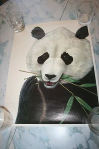 Vintage 17X22 Picture Poster of a Panda Bear - Picture 1 of 1