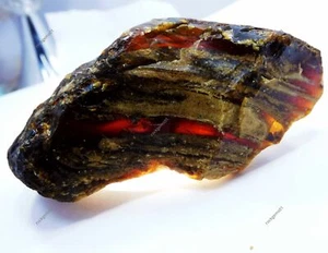 312 Ct Natural Honey Baltic Amber Untreated Certified Uncut Rough Loose Gemstone - Picture 1 of 7