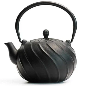 Tea Kettle Japanese Cast Iron Teapot With Infuser Cast Iron Tea Kettle Stovetop - Picture 1 of 7