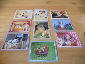 Blank Greeting Cards Kitten Cat Dog Dogs lot 9 S E Photo Landmark Stock Exchange - Picture 1 of 10