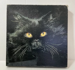 Vintage 1977 Springbok "Midnight Magic" Black Cat 500 Piece Jigsaw Puzzle - Picture 1 of 8