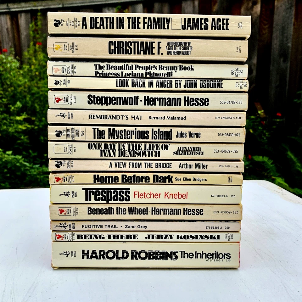 15 Vintage Paperback Books Bantam Books White Spines Black Type Modern Fiction Foto 1 de 4