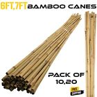 6FT 7FT Bamboo Canes Strong Heavy Duty Stick Plant Support Garden Stake