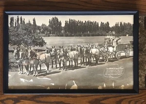 Vintage Genesee Framed Photo Original 12 Horse Team W/Belgium Roan Horses•Refurb - Picture 1 of 12