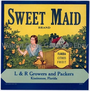 Florida Fruit Crate Label Fine Art Print, Grove, approx 10.8" x 10.8" 12868 - Picture 1 of 1