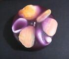 Purple-Burgundy Candle - Paraffin Wax With Shell Decoration - New