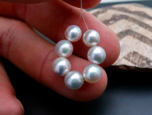 7PC AAA HIGH GRADE JAPANESE AKOYA NEAR ROUND SILVER BLUE++ IRIDESCENT PEARLS - Picture 1 of 11