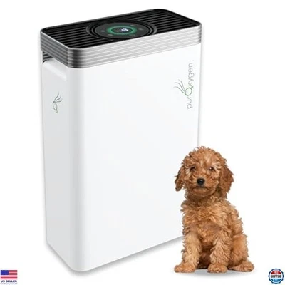 Purificador de aire inteligente para habitaciones grandes, filtro HEPA H13, WiFi, filtración de 4 etapas, silencioso Foto 1 de 4