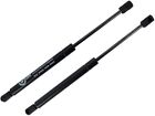 Front Hood Lift Supports Gas Struts Fits Grand Marquis Marauder Crown Victoria