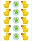 Splish Splash Rubber Duck Duckie Animal Cute Baby Shower Party Favor Stickers