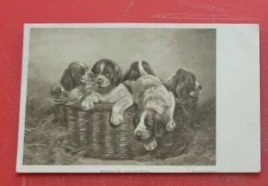 Postal Cuartos Estrechos 5 Cachorros Serie J Schmitzherrier Hildesheimer - Imagen 1 de 2