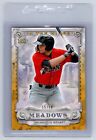Austin Meadows 2017 Topps Pro Debut In the Wings Gold #15/50 #ITW-AM Rookie Card. rookie card picture