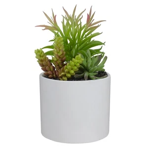 Northlight 9" Artificial Succulent Arrangement in White Ceramic Pot - Picture 1 of 5