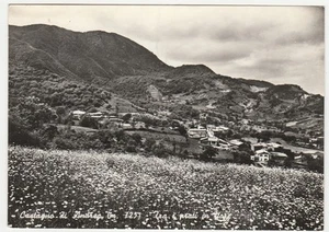 CASTAGNO DI ANDREA - SAN GODENZO - FORENZE - ZWISCHEN BLÜHENDEN WIESEN -27998- - Bild 1 von 1