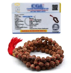 Rudraksha Mala für Männer, 108 Perlen Original Panchmukhi Rudraksha Japa Mala - Bild 1 von 5