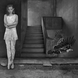 Fine Art BW Photograph Signed Ltd Edition Ballerina & Vulture SURREALISM COA NEW - Picture 1 of 8