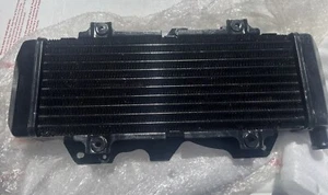 Honda 1986-2007 CN250 250 Helix Scooter Brand New Radiator Aluminum - Picture 1 of 3