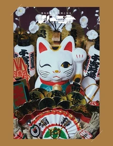 Ringo Shiina Shinaringo to aitsura to shiru shogyomujo DVD (Normal Edition) F/S - Picture 1 of 3