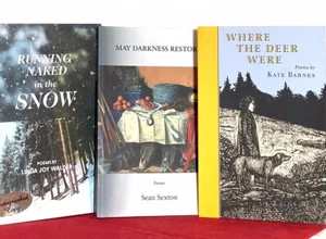 LOT of 3 Mixed Poetry Books Paperbacks 1 SIGNED Walker, Sexton, Barnes - Picture 1 of 13