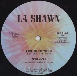 MARY CLARK '' TAKE ME I'M YOURS " NEW 12 DANCE DISCO SOUL FUNK BOOGIE - Picture 1 of 1
