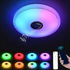Musical Ceiling Light with Speaker Waterproof for Hotel Dining Room Garage