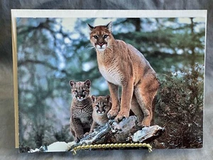 Vintage Healthy Planet Grußkarte leer Sierra Club ~ Puma und Jungen - Bild 1 von 3