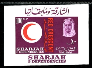 SHARJAH (EAU), MI 34, SCOTT 28 1963 100NP MEDIA LUNA ROJA, M/S DE 1, MNH (EAU274K) - Imagen 1 de 1