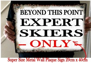 Metall Experten Skischild Skigebiet Skischild Vintage Skischild Reproduktion - Bild 1 von 1