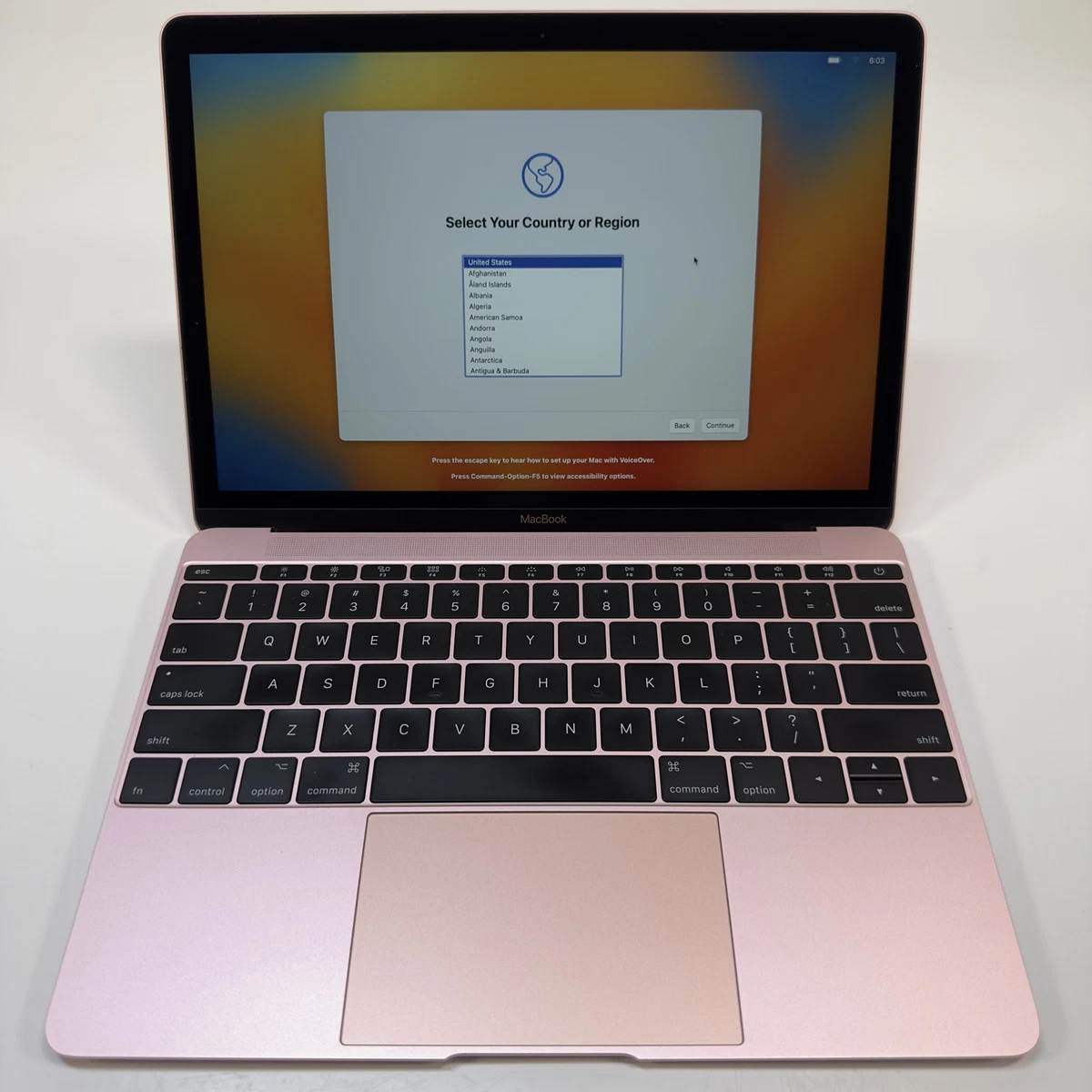 Apple MacBook 12 Inch Pink Laptops for sale | eBay