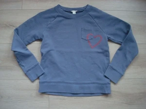 JCRew Crew Cuts Mädchen Large 10-11Y Herz Sweatshirt Langarm lila - Bild 1 von 8