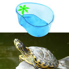 Turtle Cylinder with Drying Platform Tank Small Living Body