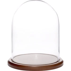 Cúpula de exhibición de vidrio Plymor de 8 pulgadas x 10,25 pulgadas (base de madera oscura) - Imagen 1 de 2
