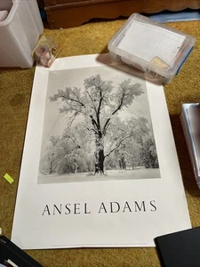 Oak Tree, Snowstorm & Moon & Half Dome Ansel Adams Art Print Photo Poster 36x24 - Picture 1 of 6