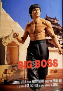 11"BRUCE LEE MASTER OF KUNG FU FIGHTINGUnbuilt Unpainted Resin Model Kit 1/6 - Picture 1 of 5