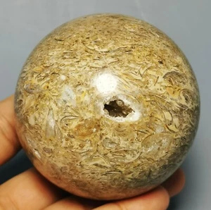 polished dinosaur bone petrified agatized specimen Gem Stone Sphere Ball Healing - Picture 1 of 10
