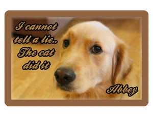 PERSONALIZED YOUR DOG SIGN YOUR PHOTO/TEXT ALUMINUM FULL COLOR CUSTOM DOG #3096 - Picture 1 of 10