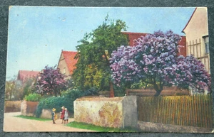 51840 AK Dresden Klotzsche Children on the Street in Front of Lilac Tree - Picture 1 of 2