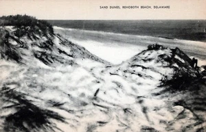 Rehoboth Beach Delaware Sand Dunes Postcard - Picture 1 of 2
