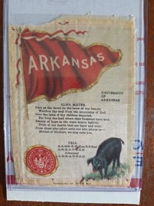 1910s S23 tobacco silk UNIVERSITY  OF ARKANSAS #3 MASCOT cheer silk - Picture 1 of 1